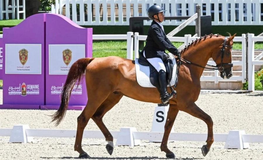 Semaine du Cheval 2026 : Rabat accueille l’élite marocaine des sports équestres