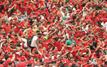 Royal Air Maroc expands special US flight program amid surge in supporter demand for Morocco national team