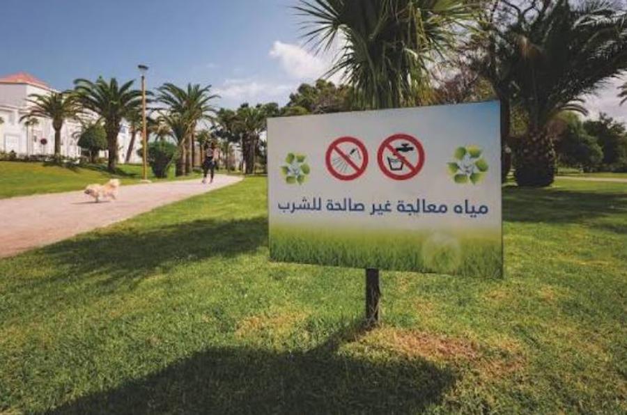 صباغة العشب بدل تأهيله تثير الجدل بطنجة