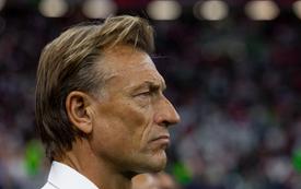 رسميا ..هيرفي رونارد مدربا لمنتخب كوت ديفوار