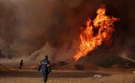 Bombeiros gregos enfrentam quinto dia de grande incêndio florestal ao noroeste de Atenas