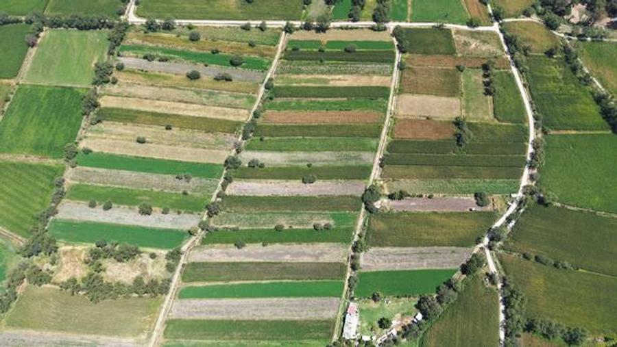 Loi d’urgence agricole : pesticides et stockage de l’eau désormais inscrits dans la loi