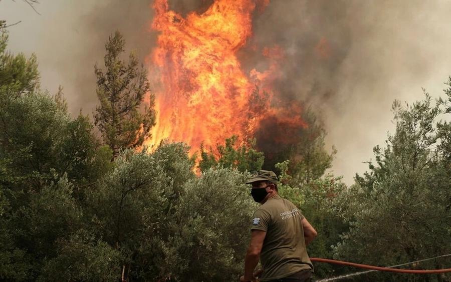 Greece battles devastating wildfires as more than 12,000 hectares burn
