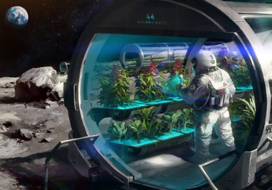 从探索未知到解决地球挑战：太空进入生物技术时代