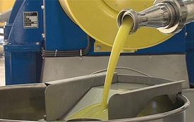 Huile d’olive : les importations espagnoles depuis le Maroc connaissent une envolée spectaculaire