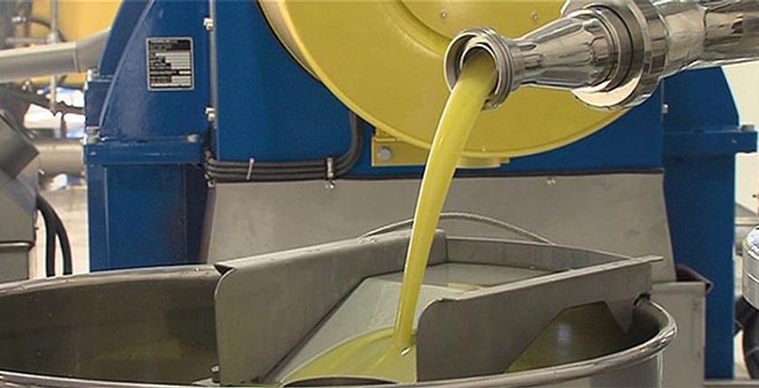 Olive Oil: Spanish Imports from Morocco Surge Dramatically