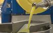 Olive Oil: Spanish Imports from Morocco Surge Dramatically