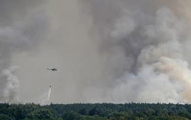 Serbie : l’Union européenne renforce la lutte contre les incendies dans la réserve de Deliblato Sands