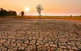 Climat et agriculture au Maroc : les enjeux de la campagne 2026-2027 face à El Niño