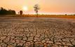 Climat et agriculture au Maroc : les enjeux de la campagne 2026-2027 face à El Niño