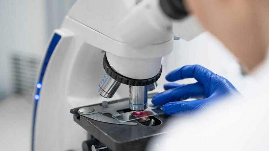 胰腺癌：FDA批准一种新治疗方法可延长患者生存期