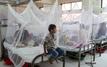 Dengue au Bangladesh : 88 décès et plus de 31.000 cas depuis le début de l’année