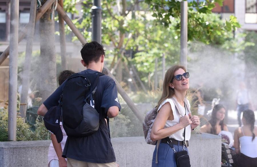 Austria records 646 heat-related deaths during June and July