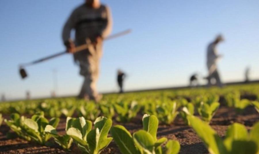FAO warns of growing soil pressure threatening Morocco’s agricultural sustainability