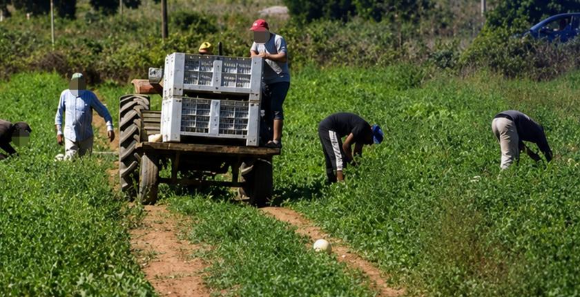 تحذيرات من “المافيا الزراعية” بإيطاليا تستدرج عمالا مغاربة بوعود عمل وهمية