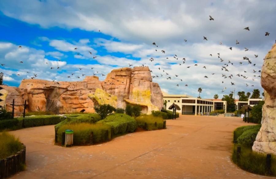 ⵉⵙⴻⵏⴼⴰⵔⴻⵏ ⵏ ⵓⴱⴻⴷⴷⴻⵍ ⵏ ⵜⵥⴻⴳⵡⴰ ⵏ ⵔⵔⴰⴱⴰⵜ