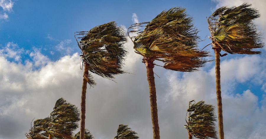 Prévisions météo : hausses de températures et poussières en suspension ce vendredi