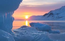 China prepares first regular container shipping service through the Arctic