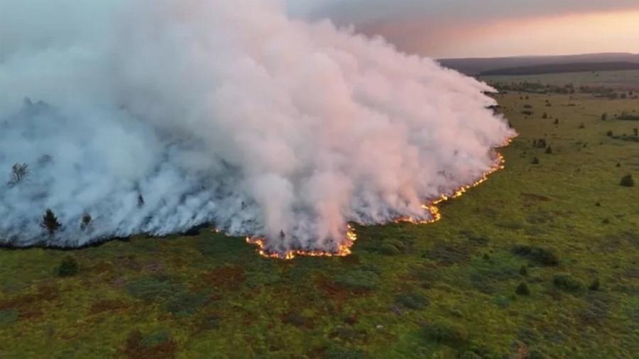 Incendie en Belgique : 3 000 hectares brûlés dans les Hautes Fagnes