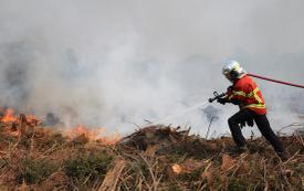 Landes wildfire stabilised as hundreds of residents prepare to return home