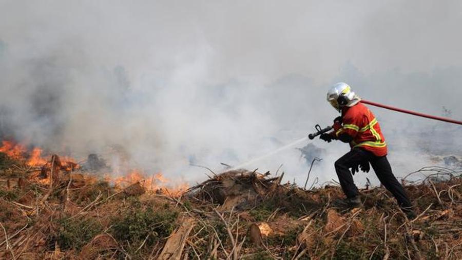 Landes wildfire stabilised as hundreds of residents prepare to return home