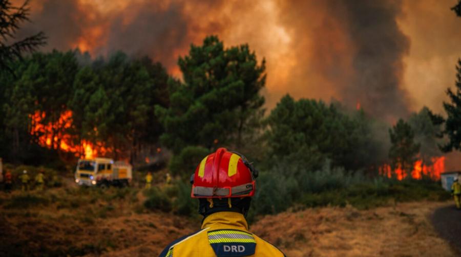 פורטוגל רושמת יותר מ-139,000 דונם שנשרפו בשריפות יער מאז תחילת 2026