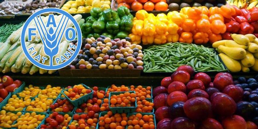 الفاو تسجل ارتفاع أسعار الغذاء عالميا في يوليوز