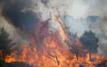 Greek mayor remanded in custody over devastating wildfire near Athens