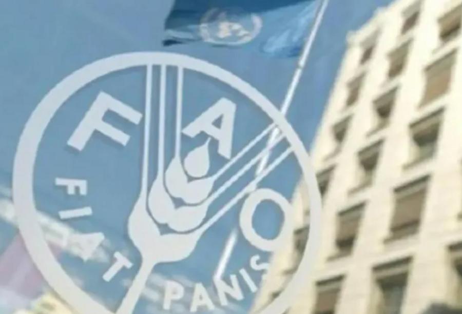 全球食品价格在三年内达到最高水平，FAO报告