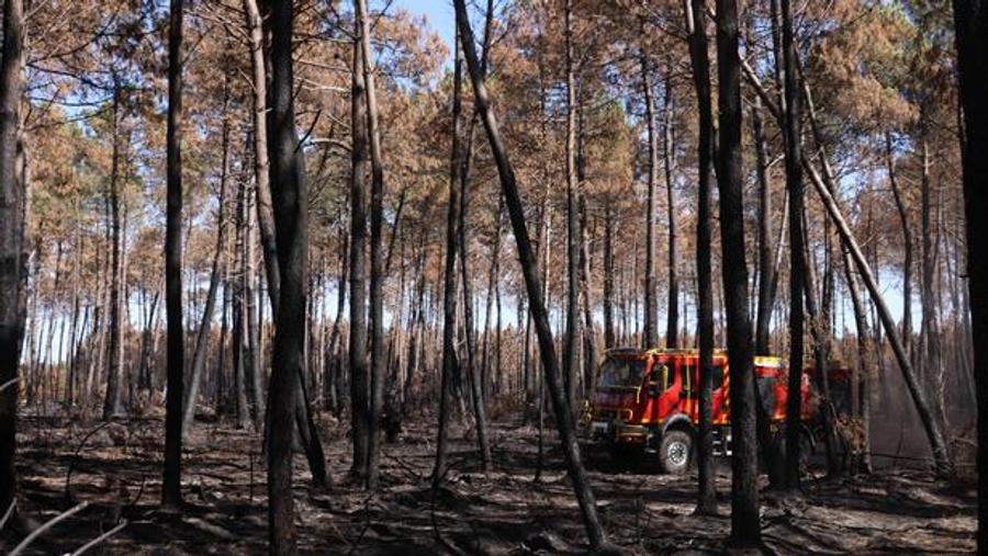 Incêndio na Drôme estabilizado após mais de 300 hectares queimados