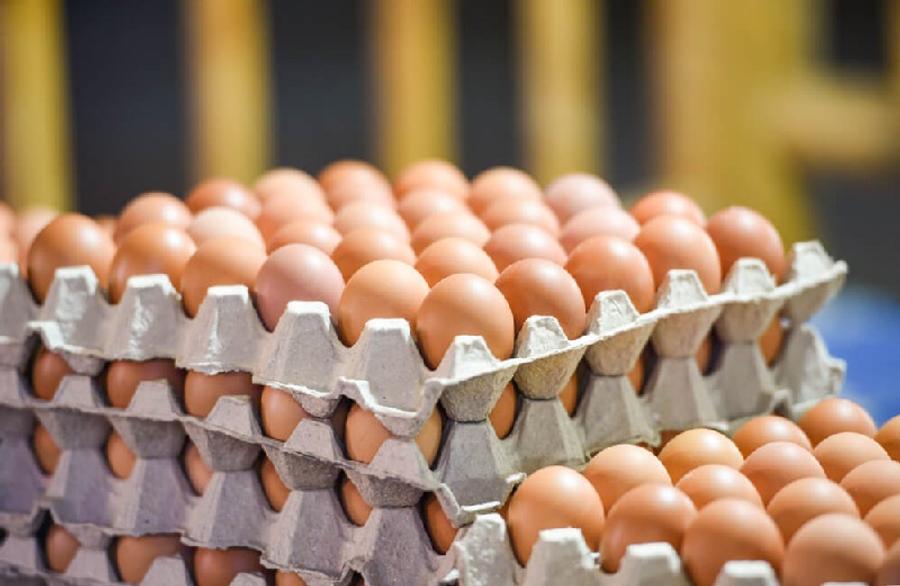 ارتفاع جديد في أسعار البيض يثير مخاوف المستهلكين