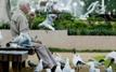 Australia to launch targeted bird vaccination campaign against H5 avian flu