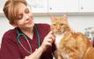 Pet owners targeted by phishing scam after I-Cad animal database cyberattack