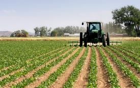 Maraîchage : les superficies cultivées progressent de 12% dans Casablanca-Settat