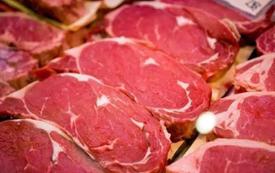Viande bovine : les exportations européennes vers le Maroc chutent de 71 %