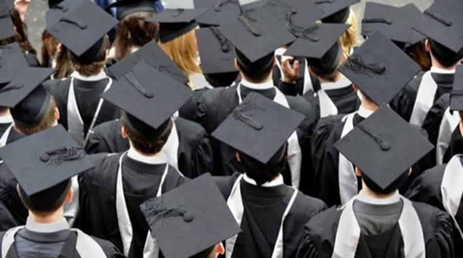 世界银行：超过43%的摩洛哥大学毕业生从事低于其资格水平的工作