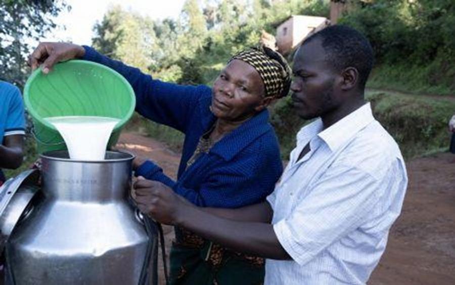 Tanzanie : un plan de 231 millions de dollars pour transformer la filière laitière