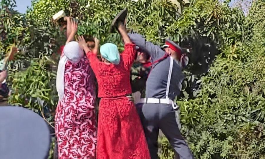 أحداث الحنشة ببوقنادل.. الإفراج عن الابن وتأجيل محاكمة والده