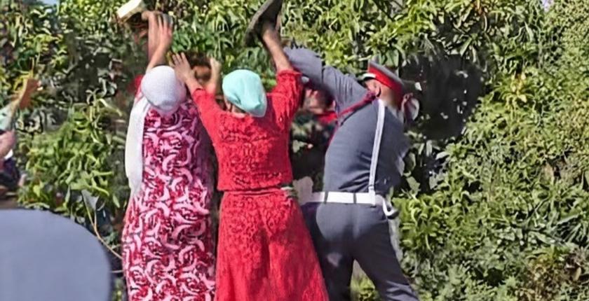 أحداث الحنشة ببوقنادل.. الإفراج عن الابن وتأجيل محاكمة والده