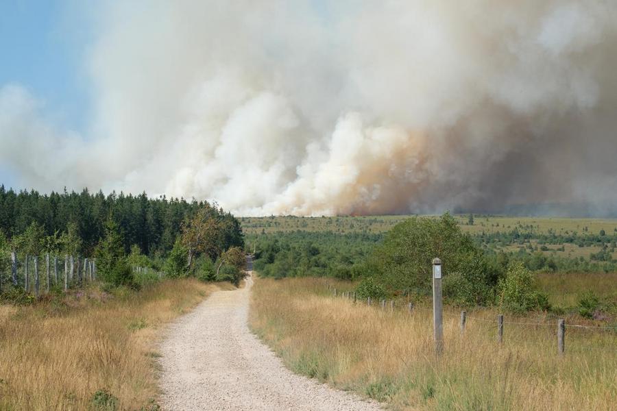 Belgique : un incendie ravage près de 850 hectares dans les Fagnes