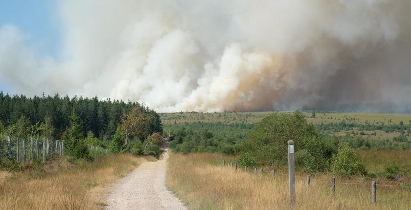 Belgique : un incendie ravage près de 850 hectares dans les Fagnes