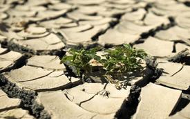 Climate scientist warns of longer droughts and more frequent lightning worldwide