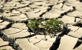 Climate scientist warns of longer droughts and more frequent lightning worldwide