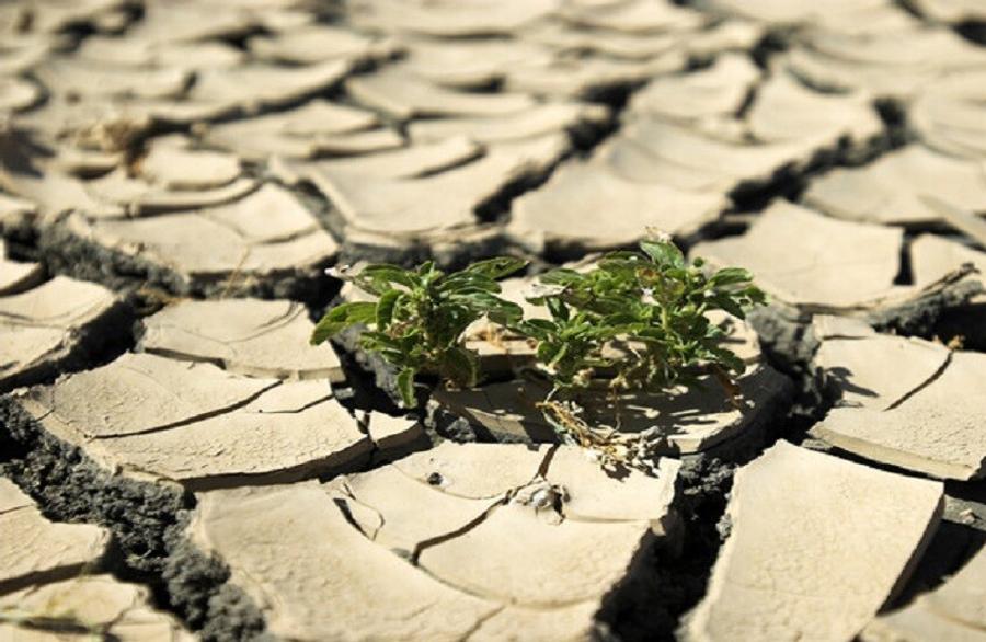 Climate scientist warns of longer droughts and more frequent lightning worldwide