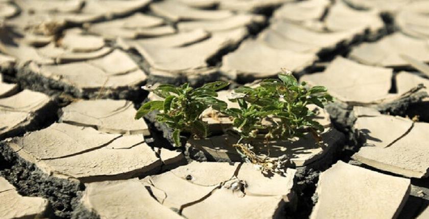 Climate scientist warns of longer droughts and more frequent lightning worldwide