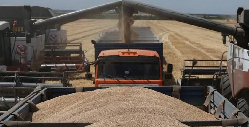Le Maroc reprend ses achats de blé russe avec 30 000 tonnes expédiées début août