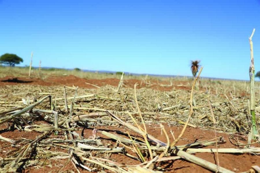 El Niño 2026 : le Pacifique se réchauffe rapidement et fait craindre un épisode climatique historique