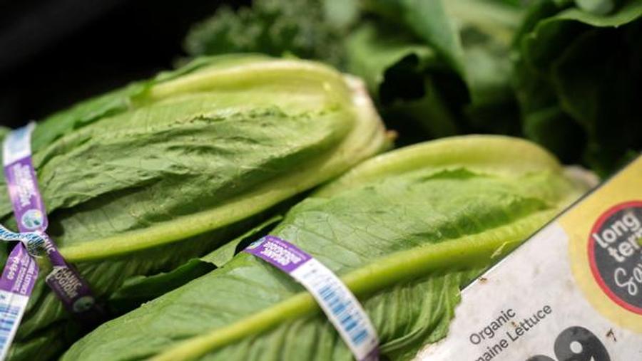 Brote de ciclospora en Estados Unidos causa dos muertes y miles de infecciones