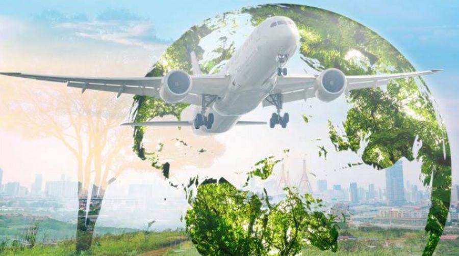 Brasil lanza un proyecto de 3 mil millones de dólares para producir combustible de aviación sostenible a partir de la palma macaw