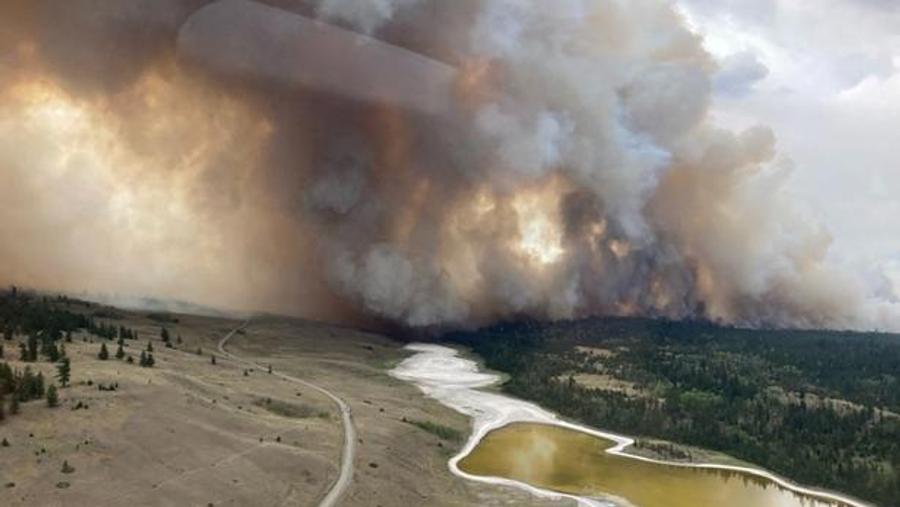 El cambio climático duplicó la probabilidad de la extrema temporada de incendios forestales en Canadá, según un estudio